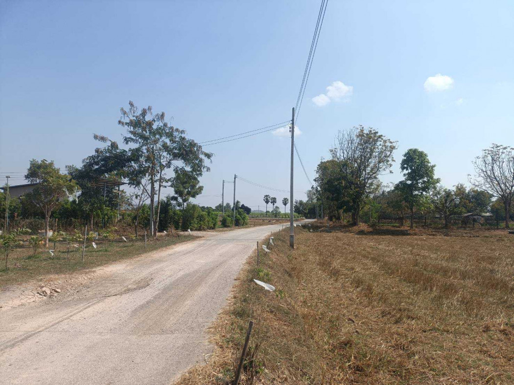 Land for sale in Pak Tho District, 6 rai 3 ngan 84 square wah, near Pak Tho Vocational College. – รูปที่ 4