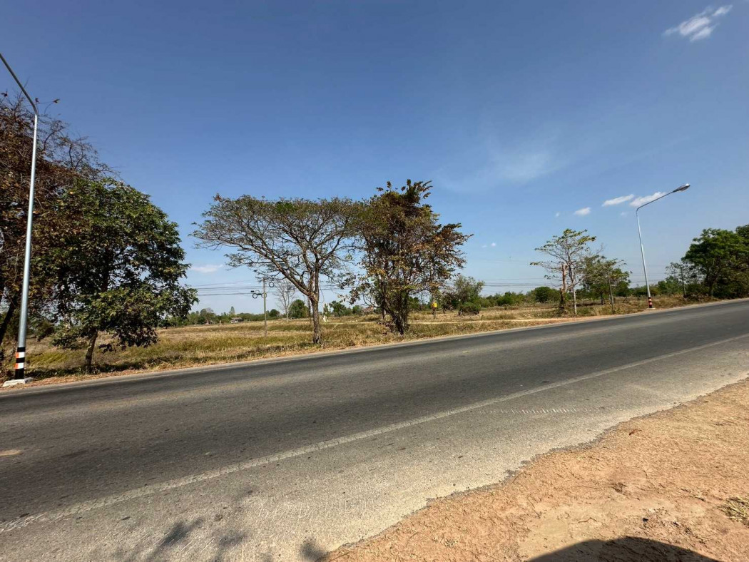 ขาย ที่ดิน ถนนเจนจบทิศ 23 ไร่ 3 งาน 19 ตรว ใกล้ถนนมิตรภาพ – รูปที่ 3