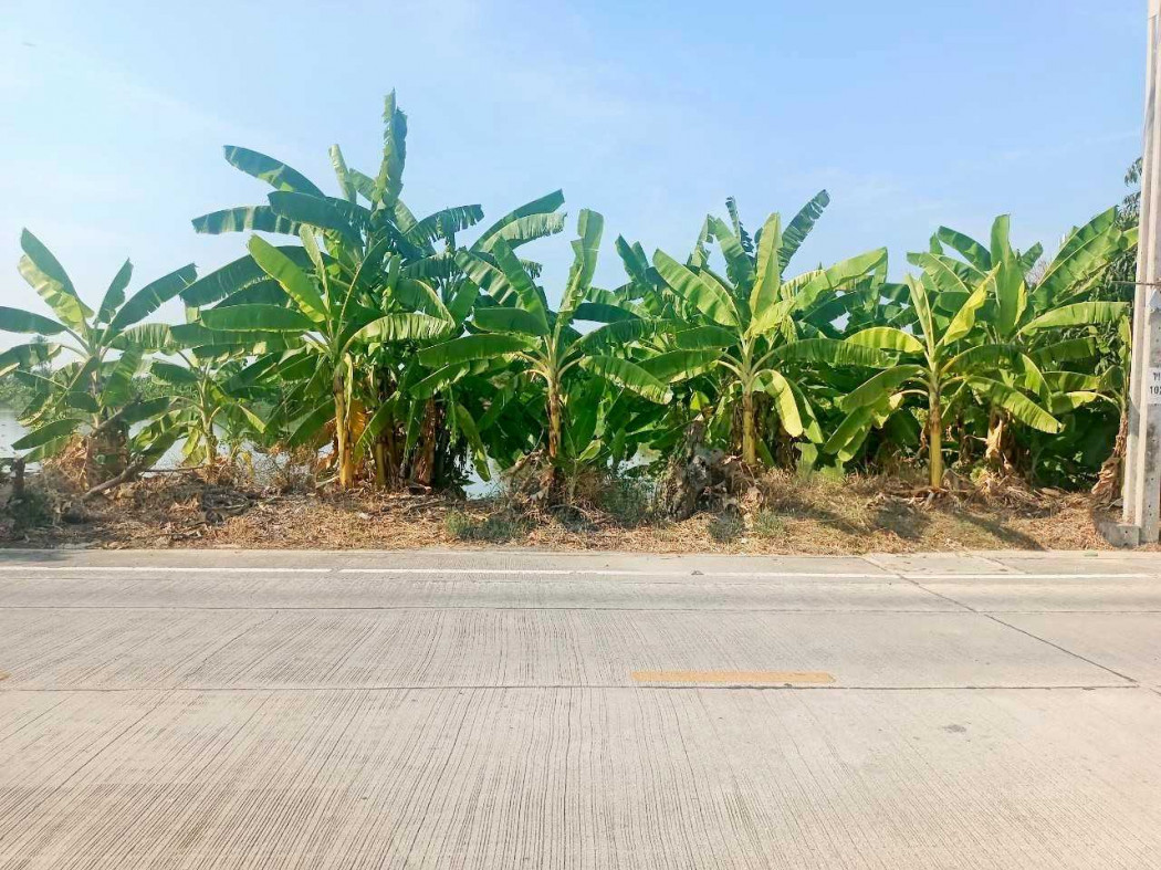 ขาย ที่ดิน ในทำเลตำบลศีรษะจรเข้น้อย 3 ไร่ 18 ตรว ติด มอเตอร์เวย์ – รูปที่ 4