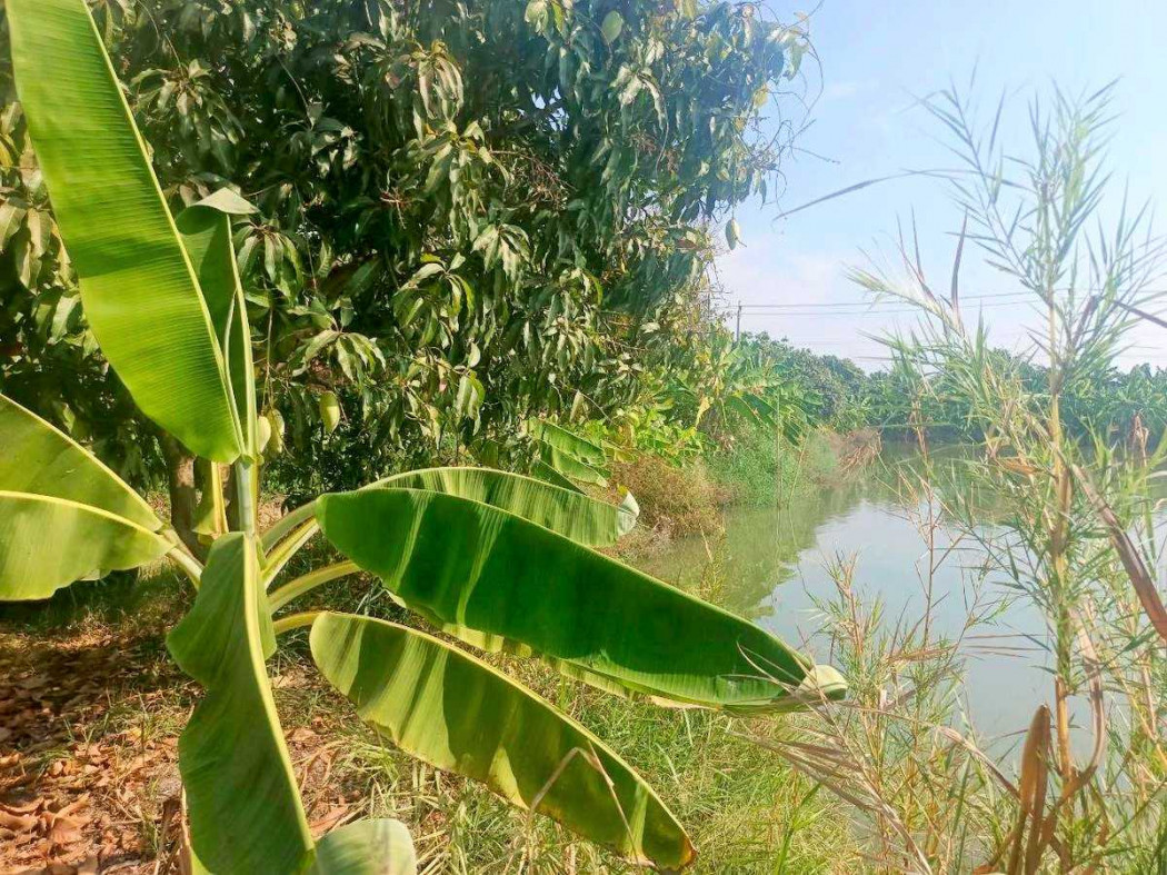 ขายที่ดินเปล่า 3 ไร่ 18 ตรว เดินทางไปสนามบินสุวรรณภูมิที่สะดวกและรวดเร็ว  – รูปที่ 2