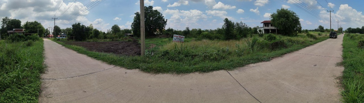 ขายที่ดิน ตําบลลํานารายณ์ อําเภอชัยบาดาล จังหวัดลพบุรี – รูปที่ 3