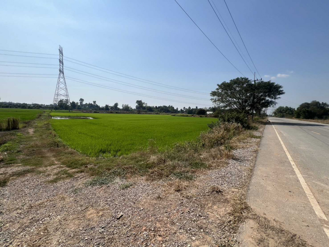 Land for sale, frontage: 113 meters, 8 rai 1 ngan 32 square wah, near Phitsanulok Airport. – รูปที่ 2