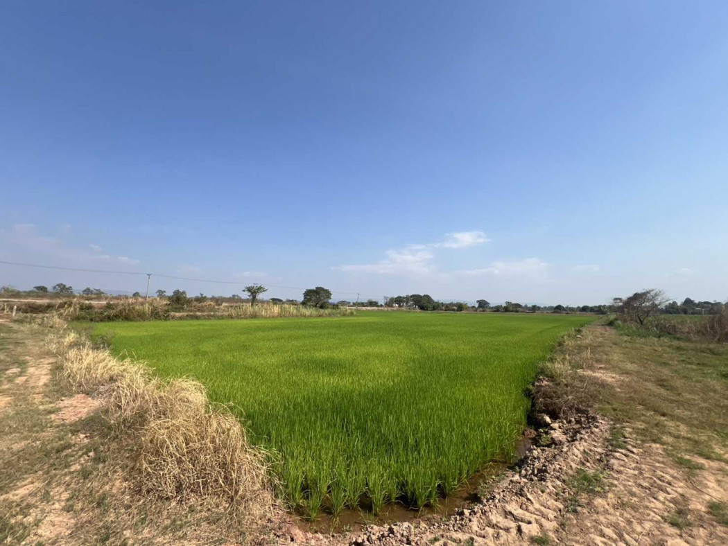 Land for sale, frontage: 113 meters, 8 rai 1 ngan 32 square wah, near Phitsanulok Airport. – รูปที่ 3