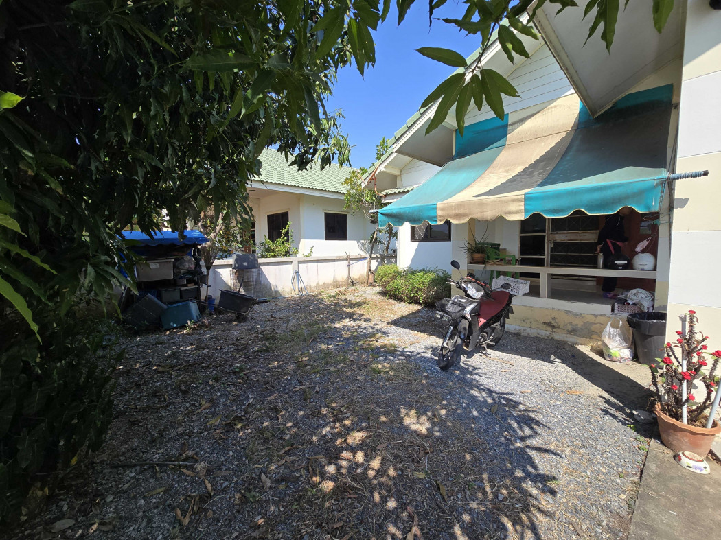 ขาย บ้านเดี่ยว โซนหัวรอ ร่มรื่น อยู่สบาย 90 ตรม 70 ตรว ใกล้ตลาดร่วมเจริญ – รูปที่ 2
