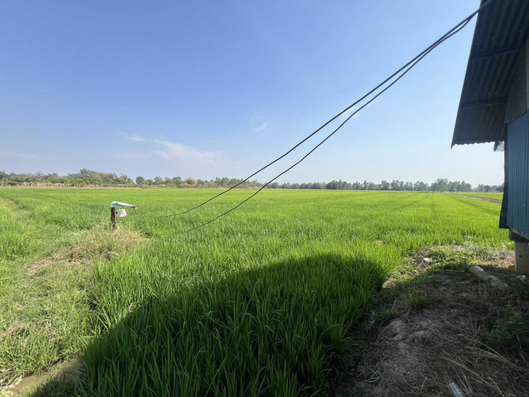 Land for sale, 35 rai 3 ngan 20 square wah, located on the Phitsanulok bypass road, opposite Phitsanulok University. – รูปที่ 3