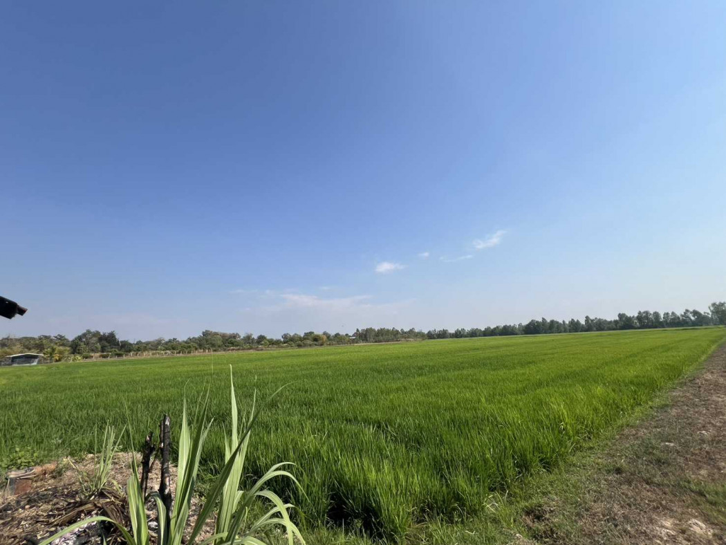 Land for sale, 35 rai 3 ngan 20 square wah, located on the Phitsanulok bypass road, opposite Phitsanulok University. – รูปที่ 4