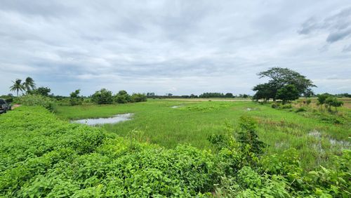 ที่ดินแปลงสวย  อ.บางระจัน จ.สิงห์บุรี ติดคลองชลประทาน  