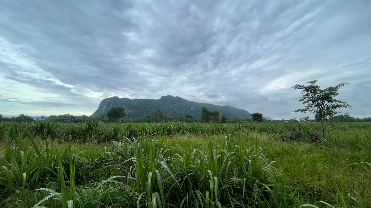 Land for sale with beautiful mountain view Near the viewpoint of Switzerland in Thailand, Hup Pa Tat, Uthai Thani. – รูปที่ 4