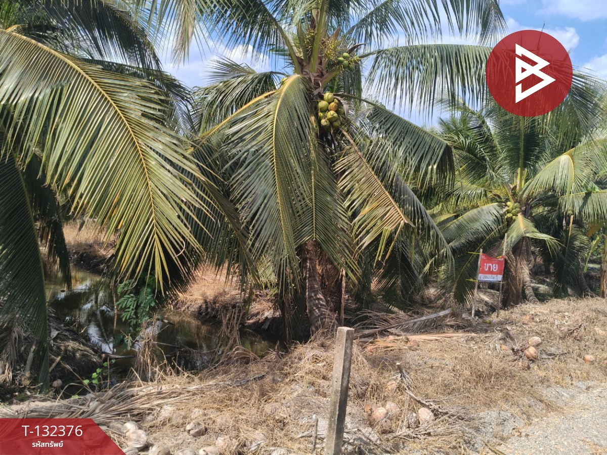 Land for sale, area 2 ngan, Ban Phaeo, Samut Sakhon – รูปที่ 4