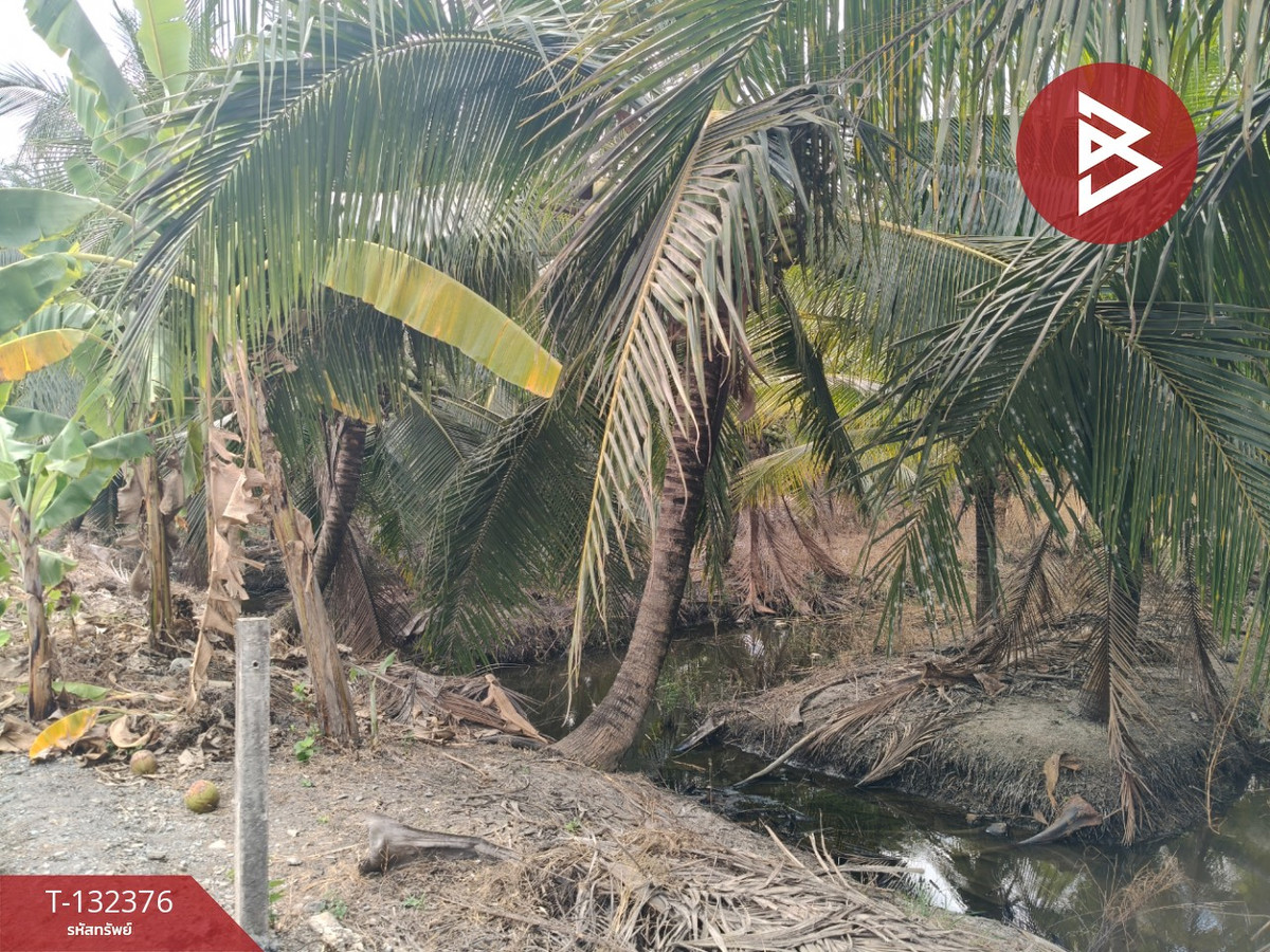 Land for sale, area 2 ngan, Ban Phaeo, Samut Sakhon – รูปที่ 2