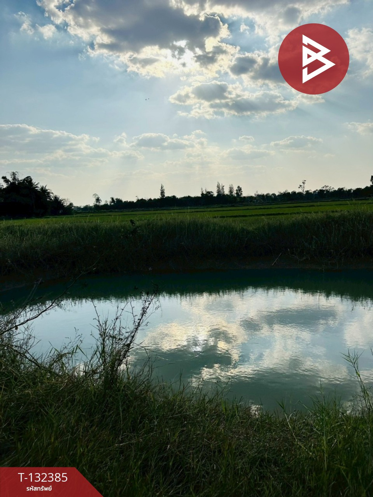 ขายที่ดิน เนื้อที่ 1 ไร่ 38.7 ตร.วา ปักธงชัย นครราชสีมา – รูปที่ 2