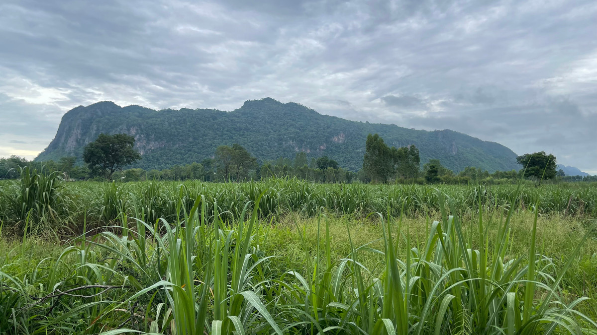 Land for sale with beautiful mountain view Near the viewpoint of Switzerland in Thailand, Hup Pa Tat, Uthai Thani. – รูปที่ 3