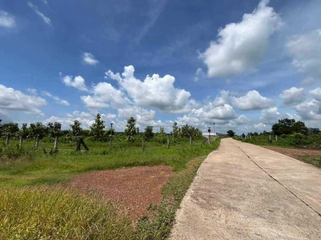 ขาย ที่ดิน ในนิคมโรจนะ ปราจีนบุรี 23 ไร่ 76 ตรว ใกล้ โลตัส ศรีมหาโพธิ์ – รูปที่ 3