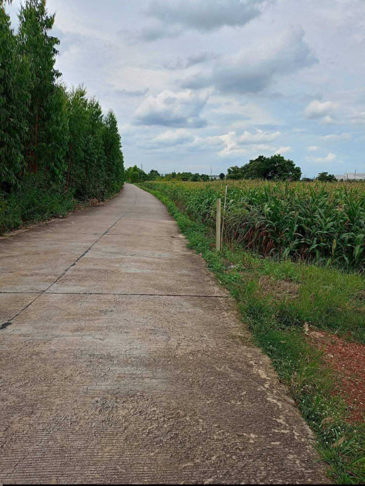 ขาย ที่ดิน ในนิคมโรจนะ ปราจีนบุรี 23 ไร่ 76 ตรว ใกล้ โลตัส ศรีมหาโพธิ์ – รูปที่ 4