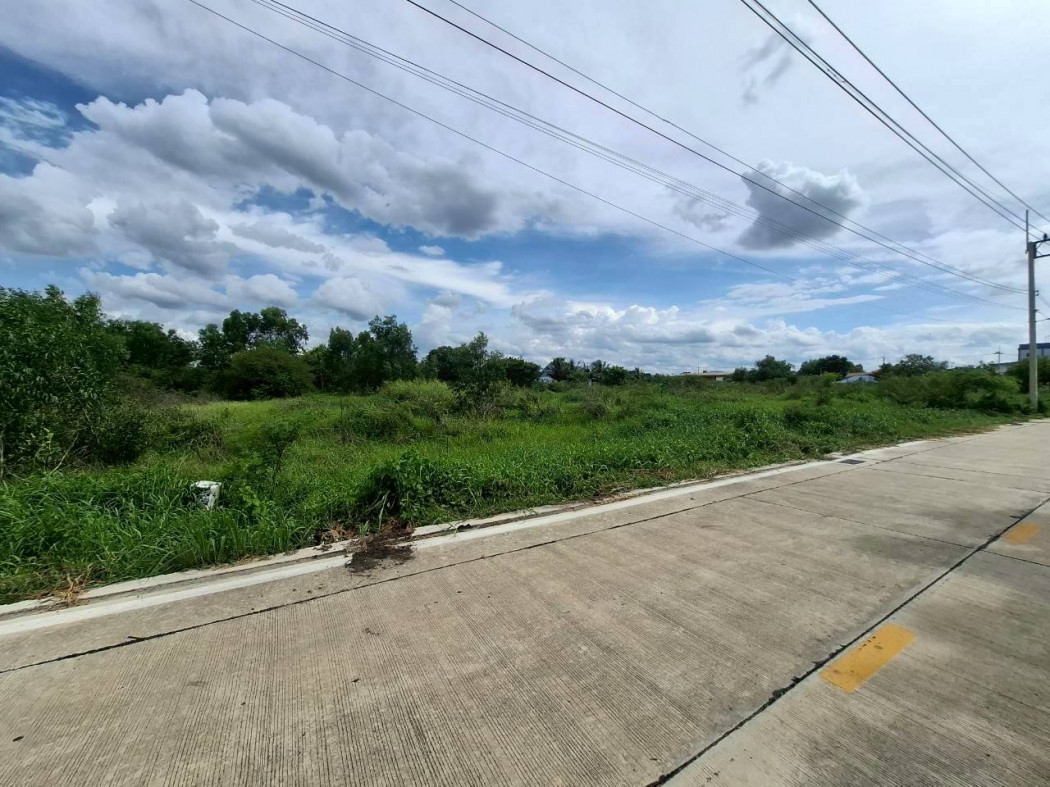 ขาย ที่ดิน ซอย เอราวัณ 36 ขนาด 2 ไร่ ใกล้ ถ.กาญจนาภิเษกแค่ 2 กม. KK – รูปที่ 4