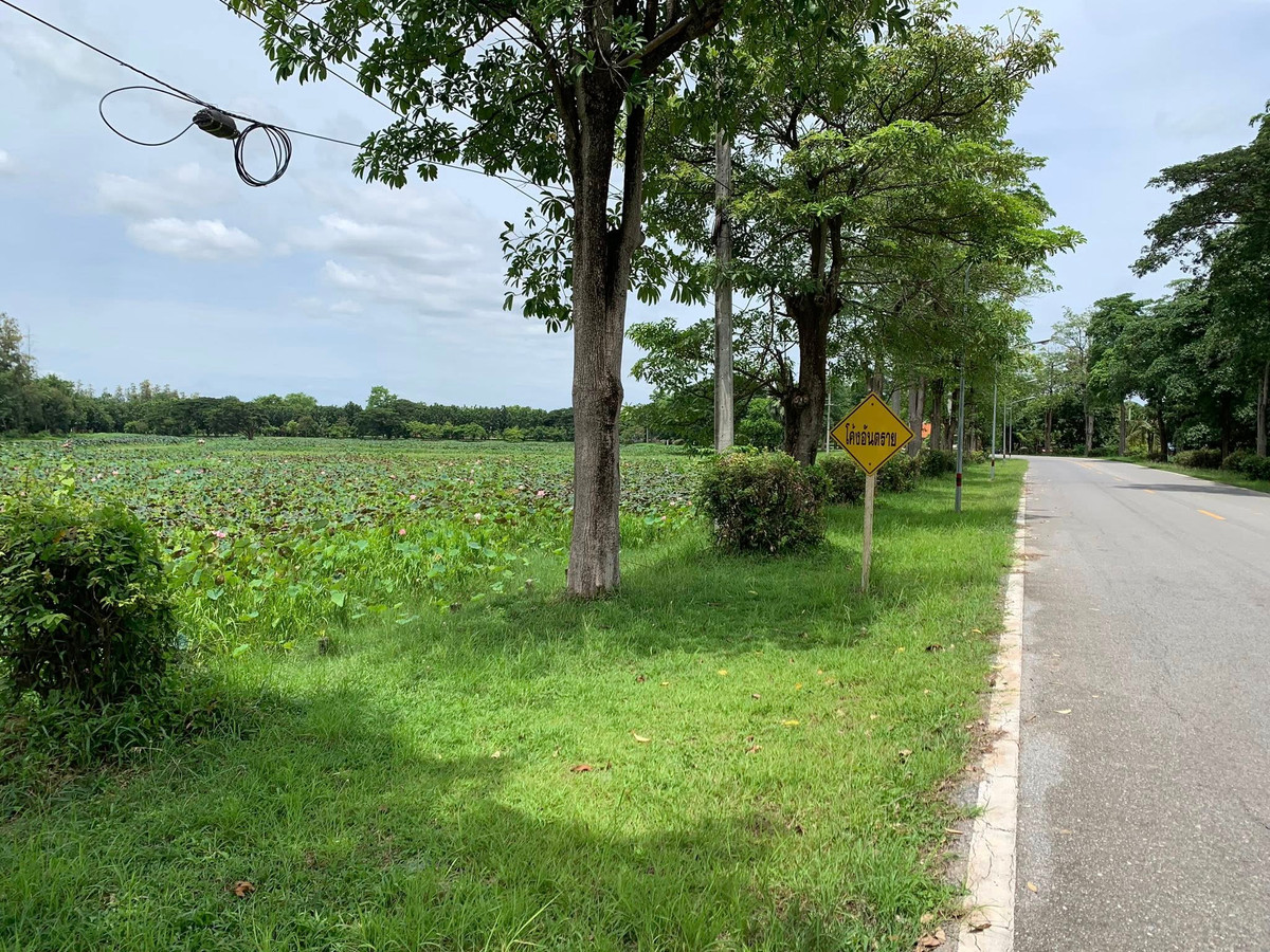 ด่วน !! ขายที่ดินเปล่า ใกล้สนามบินสุโขทัย อ.สวรรคโลก – รูปที่ 2