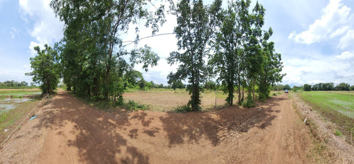 ขายที่ดินใกล้เขื่อนป่าสัก  ต.โคกสลุง อ.พัฒนานิคม  จ.ลพบุรี – รูปที่ 2