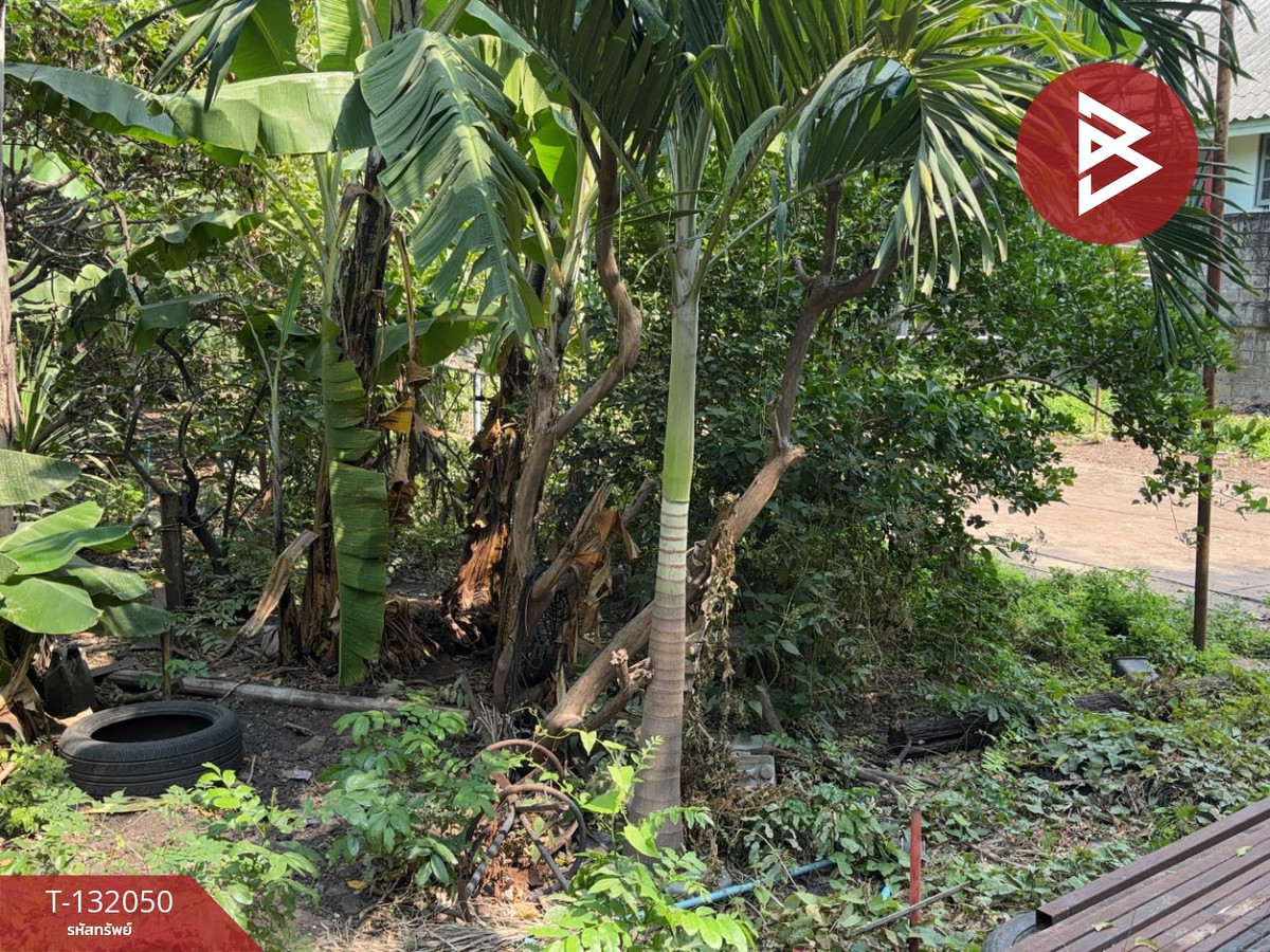 ขายที่ดิน เนื้อที่ 1 งาน 20.5 ตร.วา ท่ามะขาม กาญจนบุรี – รูปที่ 3