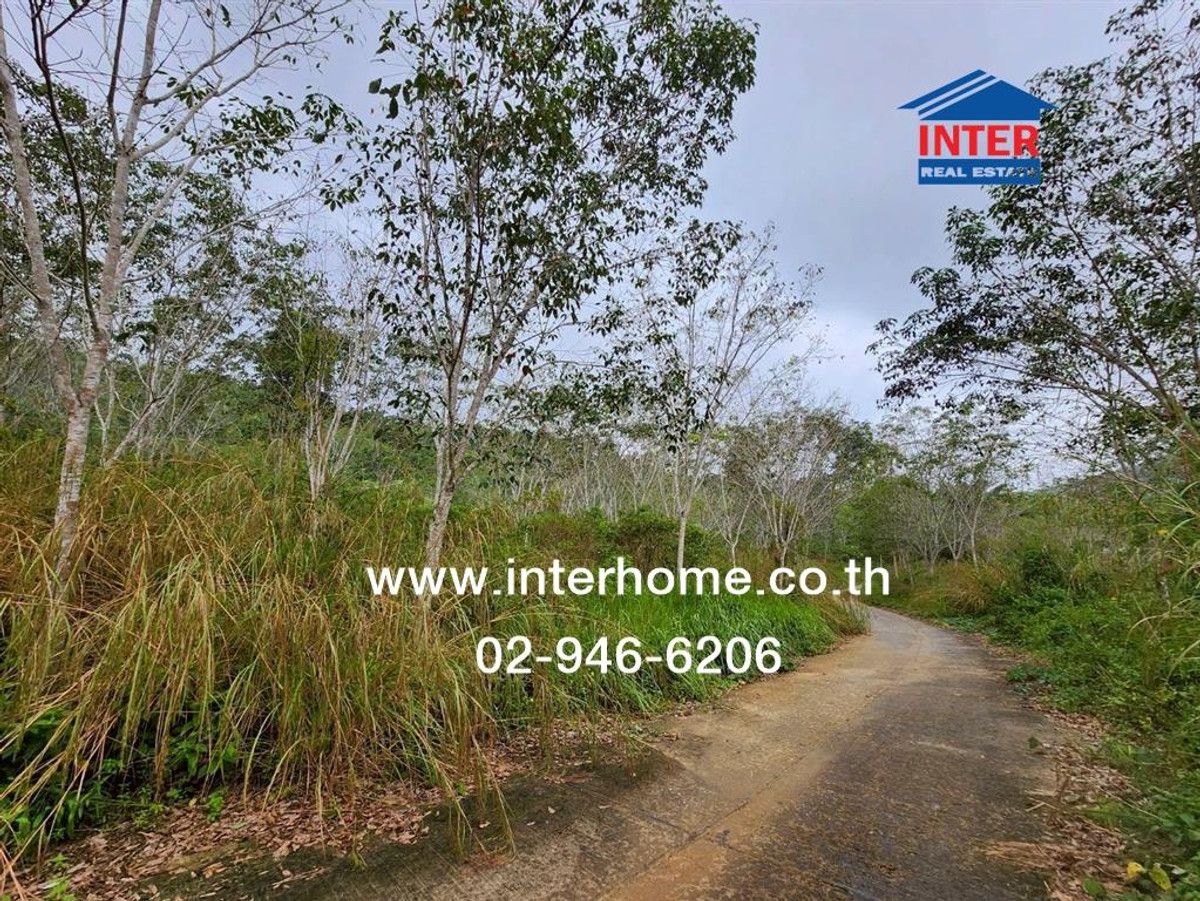 Vacant land 33 rai 270 sq m, Than Nam Thip, near Pom Kwang Long intersection. Near Betong Airport Road to find number 4062 Road number 4326 Betong Yala – รูปที่ 3