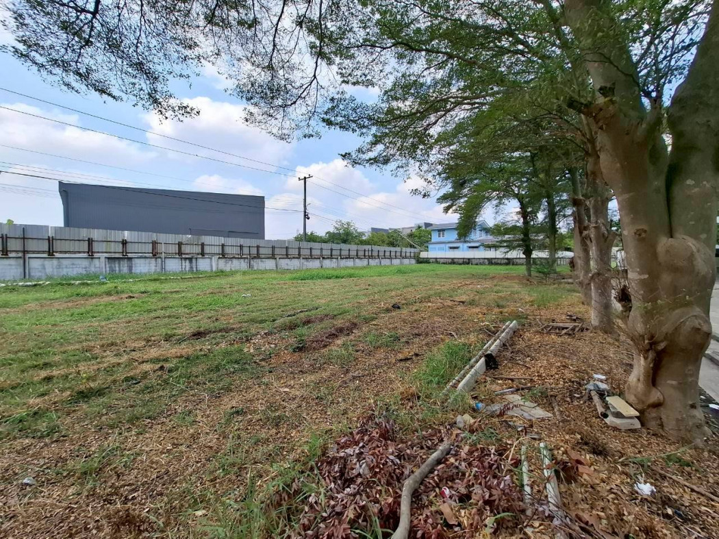ขาย ที่ดิน สนามกอล์ฟหมู่บ้านวินด์มิลล์ 300 ตรว ใกล้ถ.บางนา-ตราดแค่ 3.3 กม. KK – รูปที่ 3