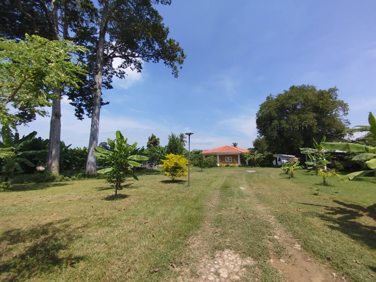 Single-storey detached house for sale with land, Nong Kop Subdistrict, Ban Pong District, Ratchaburi Province, good location, convenient travel. Single-storey detached house for sale with land, Nong Kop Subdistrict, Ban Pong District, Ratchaburi Province, good location, convenient travel.