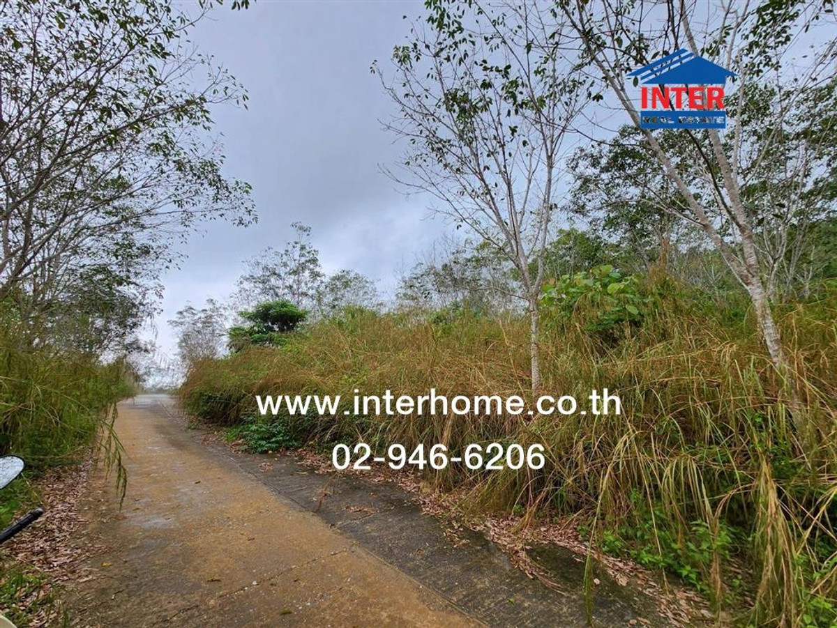 Vacant land 33 rai 270 sq m, Than Nam Thip, near Pom Kwang Long intersection. Near Betong Airport Road to find number 4062 Road number 4326 Betong Yala – รูปที่ 2