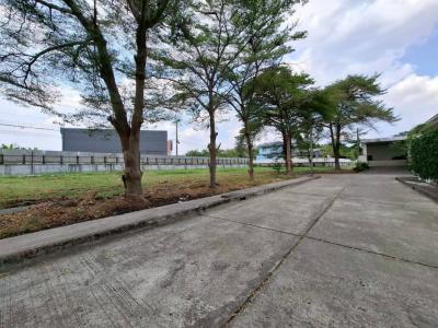 Land for sale, Windmill Village Golf Course, 300 sq w, near Bangna-Trad Road, just 3.3 km. KK