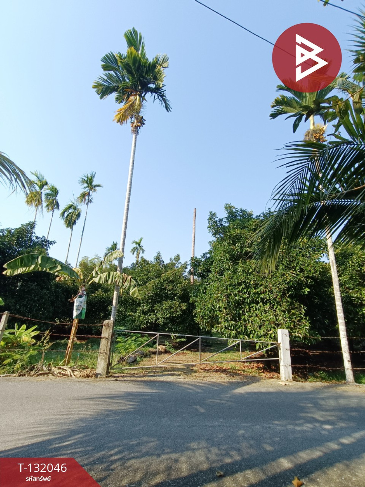 Land for sale with fruit orchard, area 1 rai 3 ngan 21 square wah, Phlapphla, Chanthaburi. – รูปที่ 2