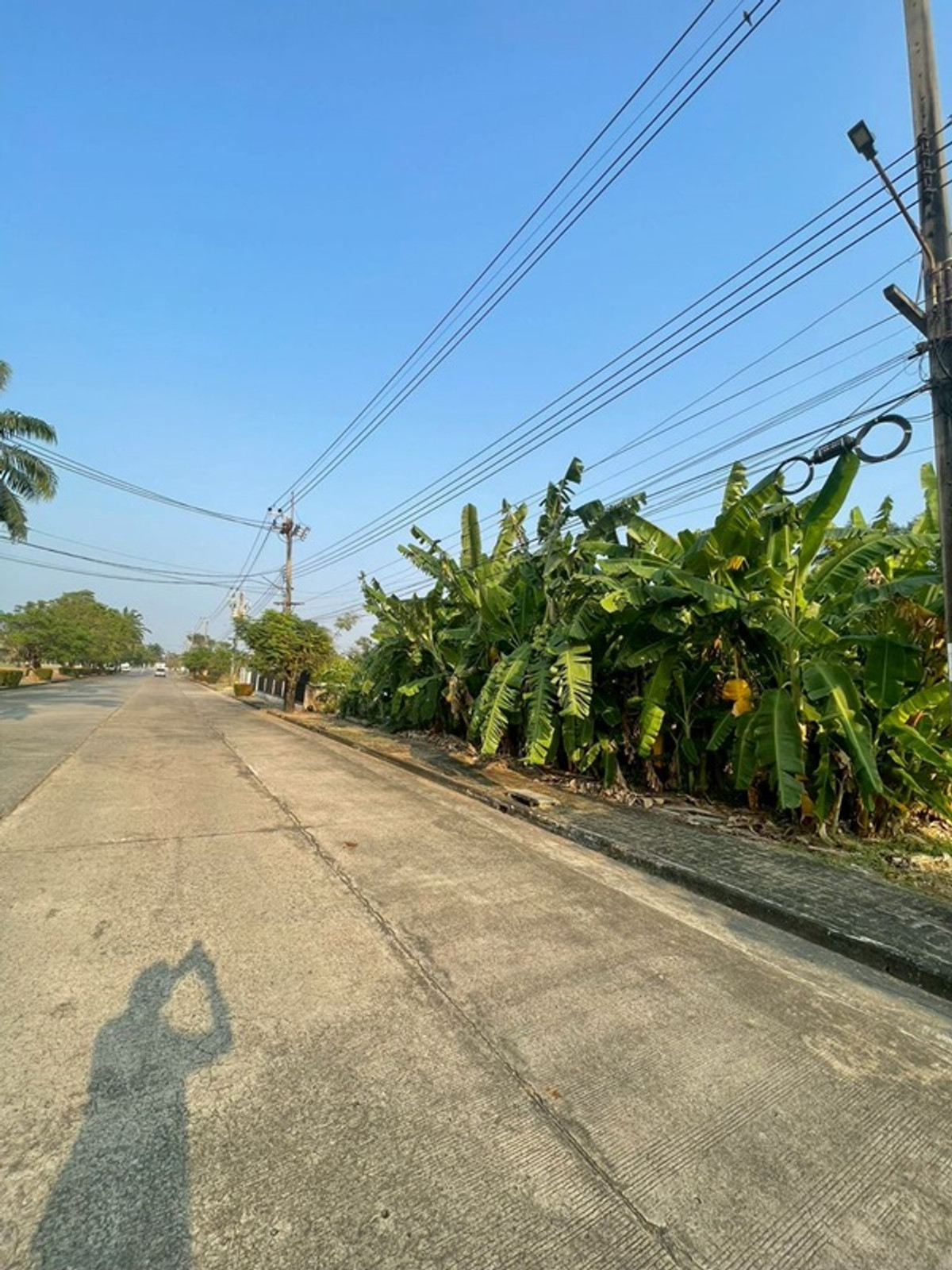 ขาย  ที่ดินเปล่า  คลองสามวา  ถ.ประชาร่วมใจ – รูปที่ 3