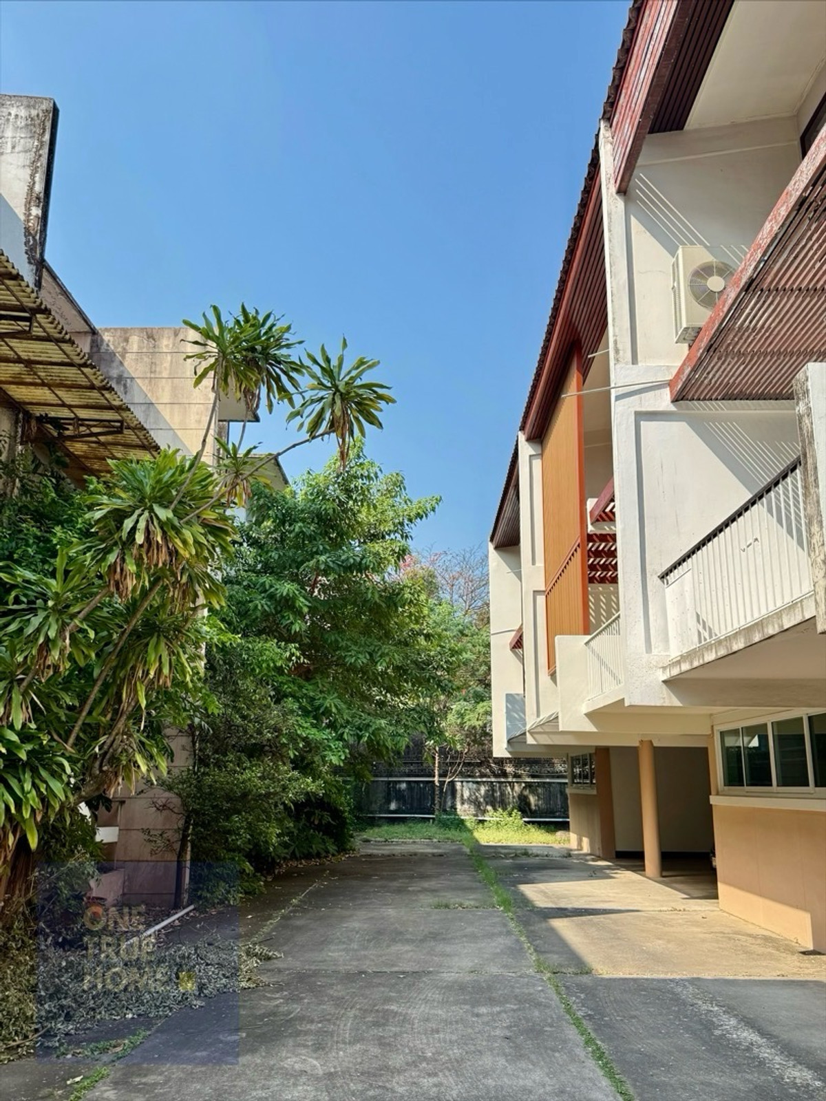 Rare Item! [ให้เช่า] Residence ตึก Mid-Century รีโนเวทใหม่ พื้นไม้สัก หน้ากว้าง 8 เมตร ย่านประดิพัทธ์ (ใกล้ร้านพริกหยวก)