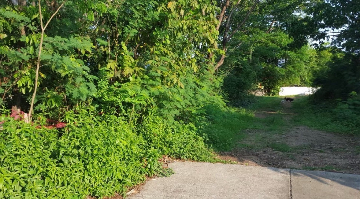 [ ขาย ] ที่ดิน 181.2 ตรว ตัวเมือง นครพนม ซอย ราชทัณฑ์ 9 ถนน ราชทัณฑ์ อำเภอ เมือง จังหวัดนครพนม