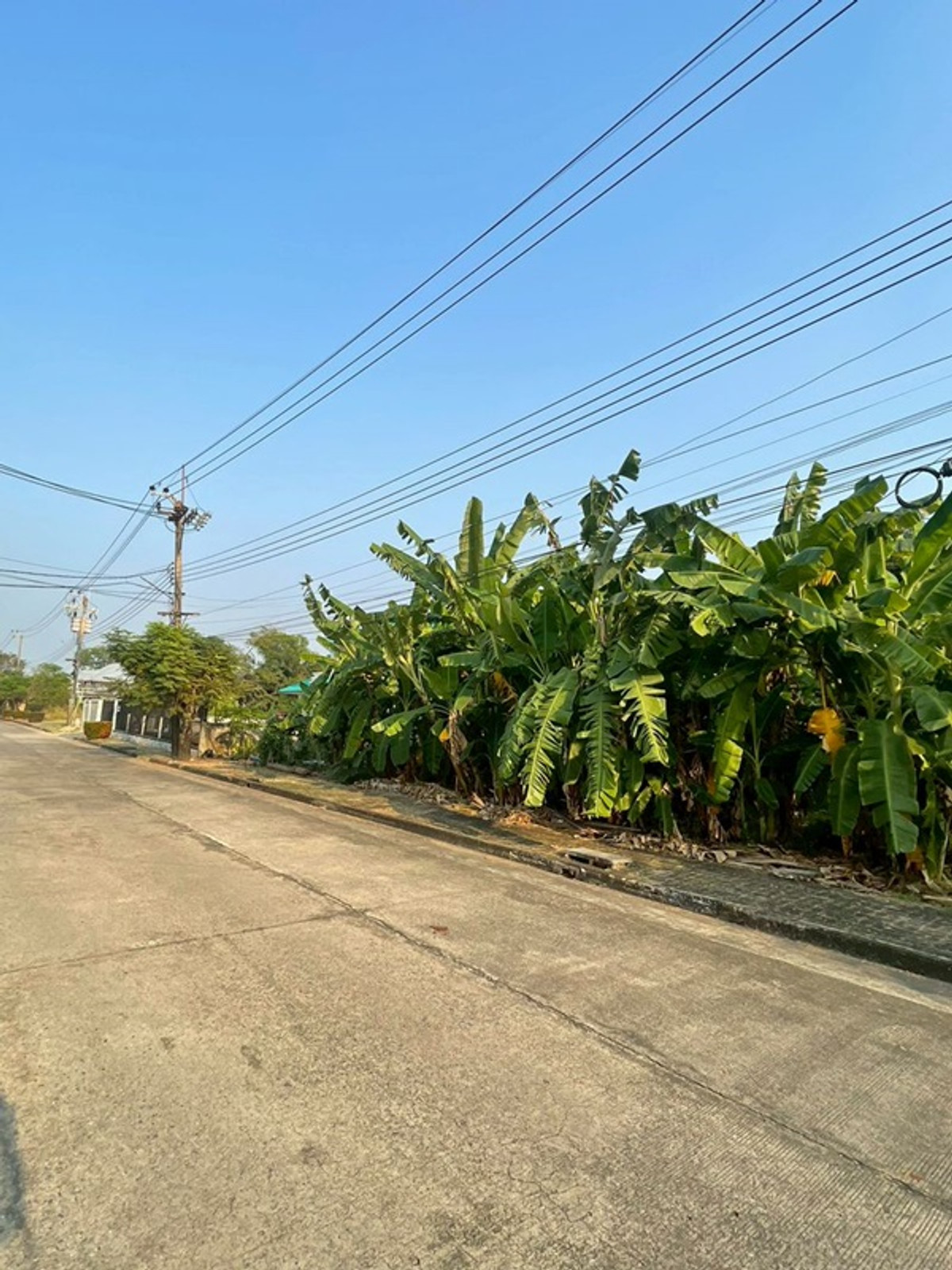 ขาย  ที่ดินเปล่า  คลองสามวา  ถ.ประชาร่วมใจ – รูปที่ 2