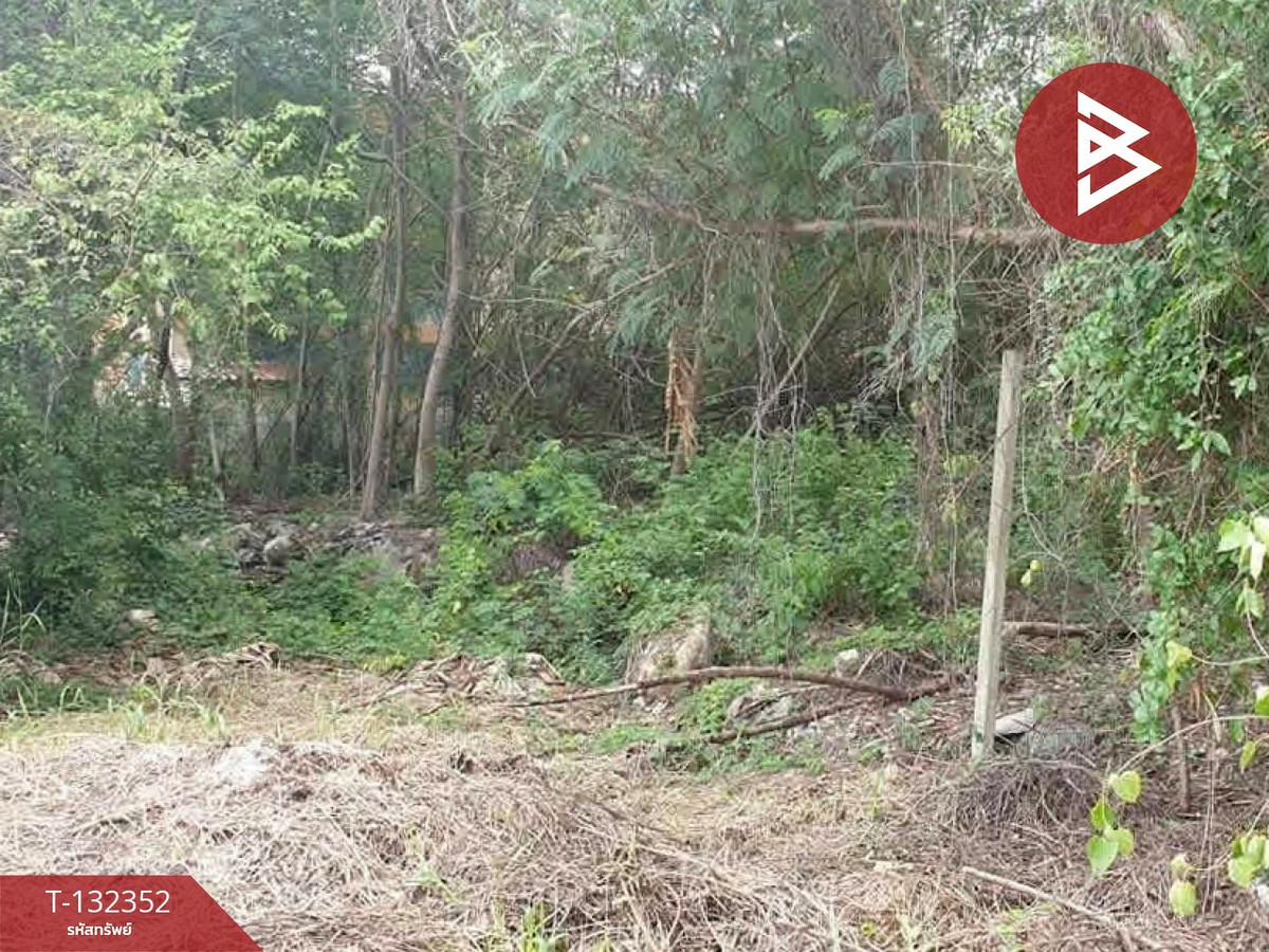 ขายที่ดิน เนื้อที่ 2 งาน หนองแค สระบุรี – รูปที่ 2
