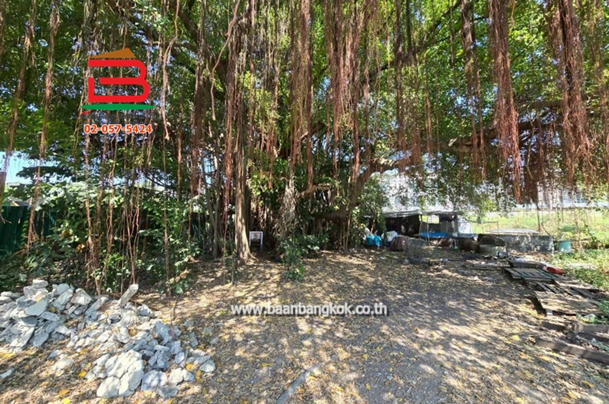 Vacant land, area 1-0-44 rai, On Nut 66, Intersection 1, On Nut Road, Suan Luang Subdistrict, Phra Khanong District – รูปที่ 4