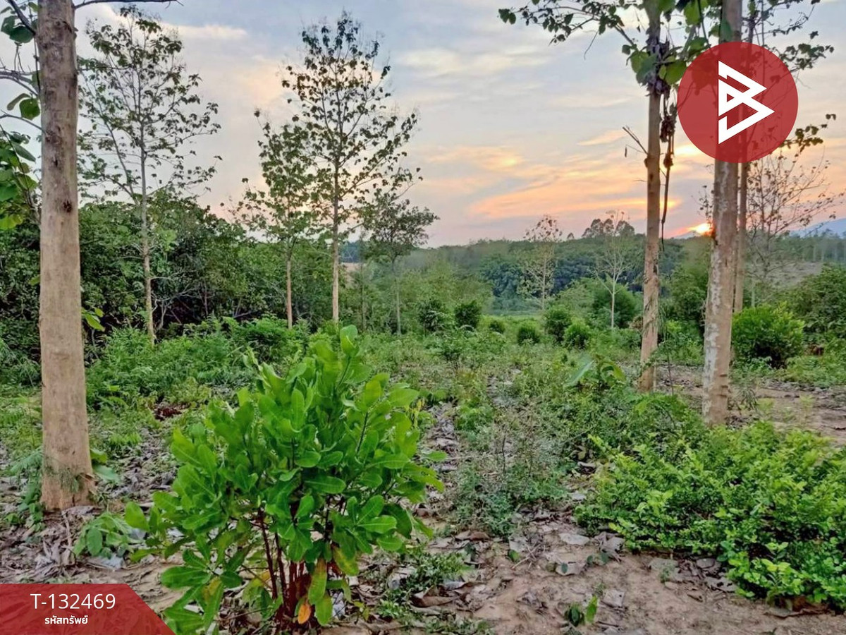 ขายที่ดิน เนื้อที่ 4 ไร่ ท่าปลา อุตรดิตถ์ – รูปที่ 2