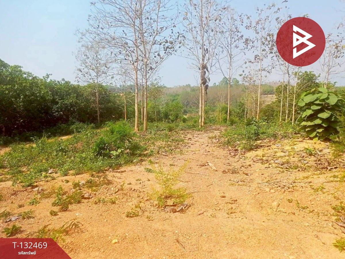ขายที่ดิน เนื้อที่ 4 ไร่ ท่าปลา อุตรดิตถ์ – รูปที่ 3