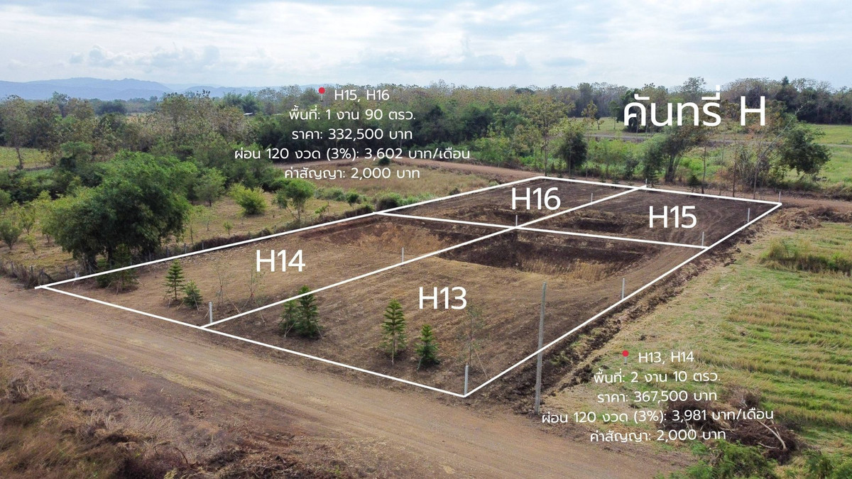 🏡 ที่ดินผ่อนง่าย โอกาสทองที่คนอยากมีบ้านสวนต้องรีบ! 💰 ผ่อนได้จริง ไม่เช็คเครดิต ❌ ไม่ใช้สเตทเม้นท์ – รูปที่ 4