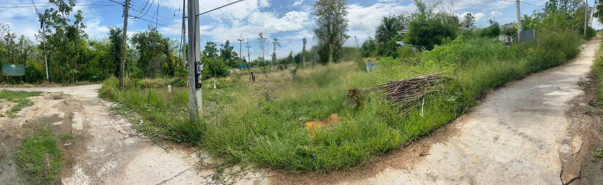 Land for sale, Niyomchai Subdistrict, Sa Bot District, Lopburi Province. – รูปที่ 2