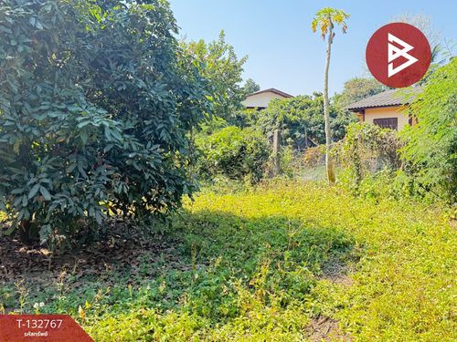 Land for sale, area 236 square meters, Saraphi, Chiang Mai.