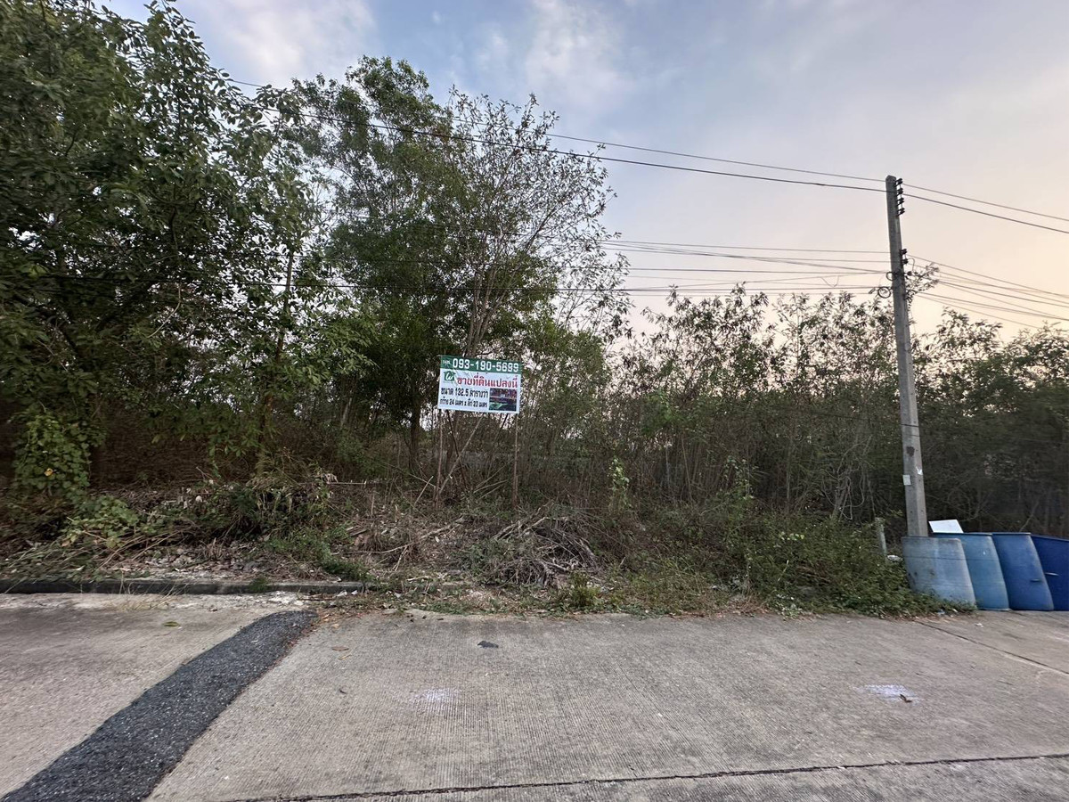 ขายที่ดิน 132.5 ตร.วา ในหมู่บ้านทองธัชการ ต.ถนนขาด จ.นครปฐม – รูปที่ 2