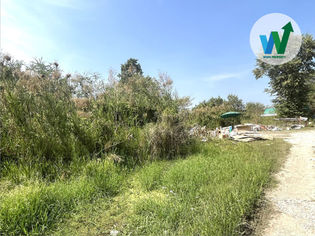 ที่ดินสร้างบ้านในฝัน 391 ตร.ว. ใกล้รร.กสิณธร เซนต์ปีเตอร์ และห้างเซ็นทรัล เวสต์เกต – รูปที่ 2