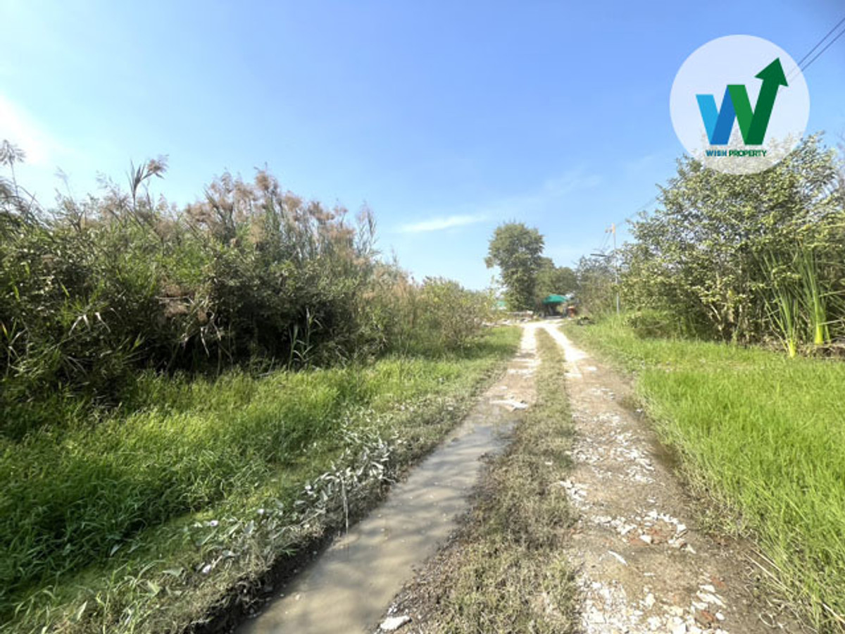 ที่ดินสร้างบ้านในฝัน 391 ตร.ว. ใกล้รร.กสิณธร เซนต์ปีเตอร์ และห้างเซ็นทรัล เวสต์เกต – รูปที่ 3