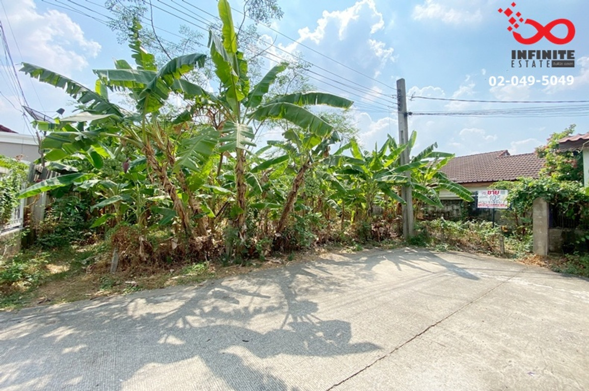 ขายที่ดิน 103ตรว.หมู่บ้านชลลดา บางบัวทอง เท่าราคาประเมิน ถมแล้ว  – รูปที่ 2