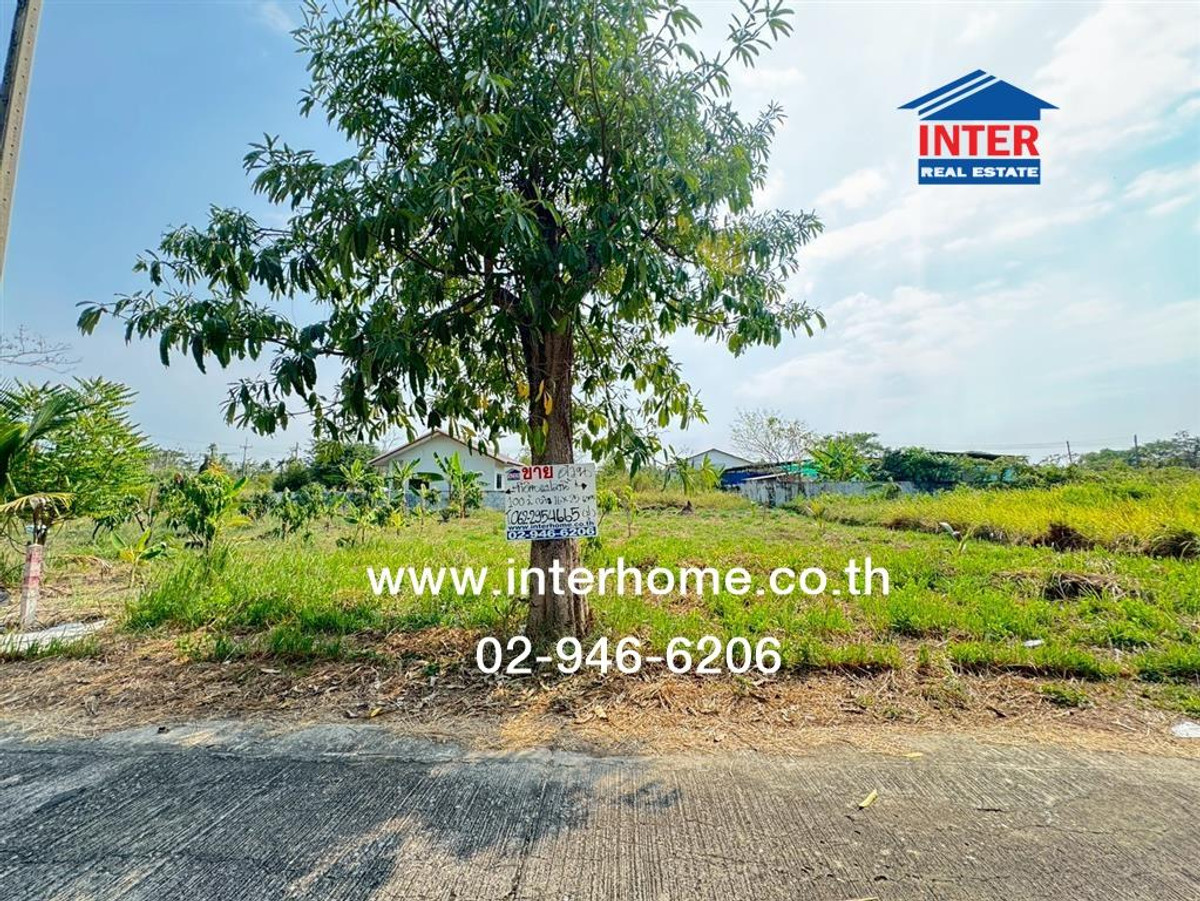 Empty land 100 sq m. Land, Om Thai Village. Near the Department of Lands, Sam Phran, Nakhon Pathom, Borommaratchachonnani Road, Nakhon Chai Si, Nakhon Pathom Empty land 100 sq m. Land, Om Thai Village. Near the Department of Lands, Sam Phran, Nakhon Pathom, Borommaratchachonnani Road, Nakhon Chai Si, Nakhon Pathom