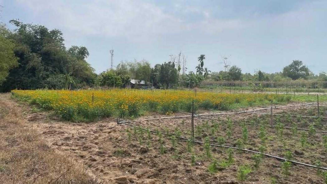 Industrial land for sale, 38 rai 3 ngan 79 square wah, near U-Tapao Airport. – รูปที่ 3