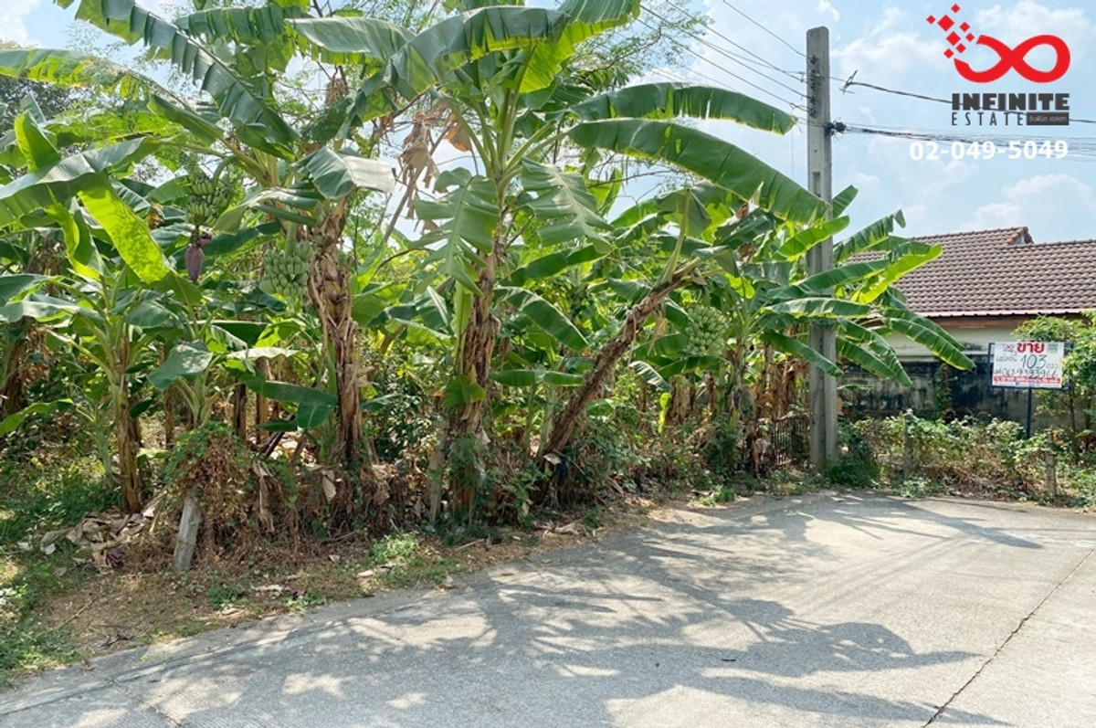 ขายที่ดิน 103ตรว.หมู่บ้านชลลดา บางบัวทอง เท่าราคาประเมิน ถมแล้ว ขายที่ดิน 103ตรว.หมู่บ้านชลลดา บางบัวทอง เท่าราคาประเมิน ถมแล้ว