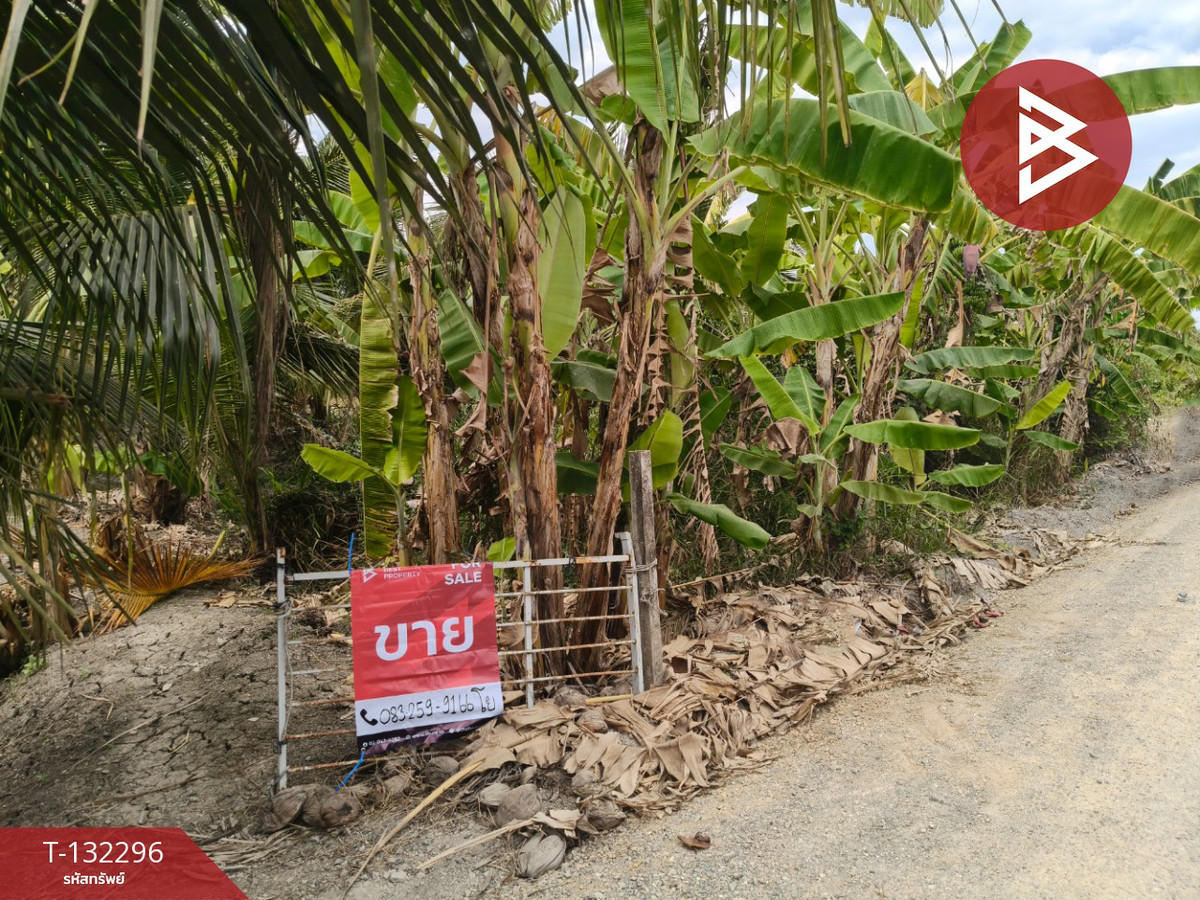 Land for sale, area 3 ngan 65 sq m, Ban Phaeo, Samut Sakhon. Land for sale, area 3 ngan 65 sq m, Ban Phaeo, Samut Sakhon.