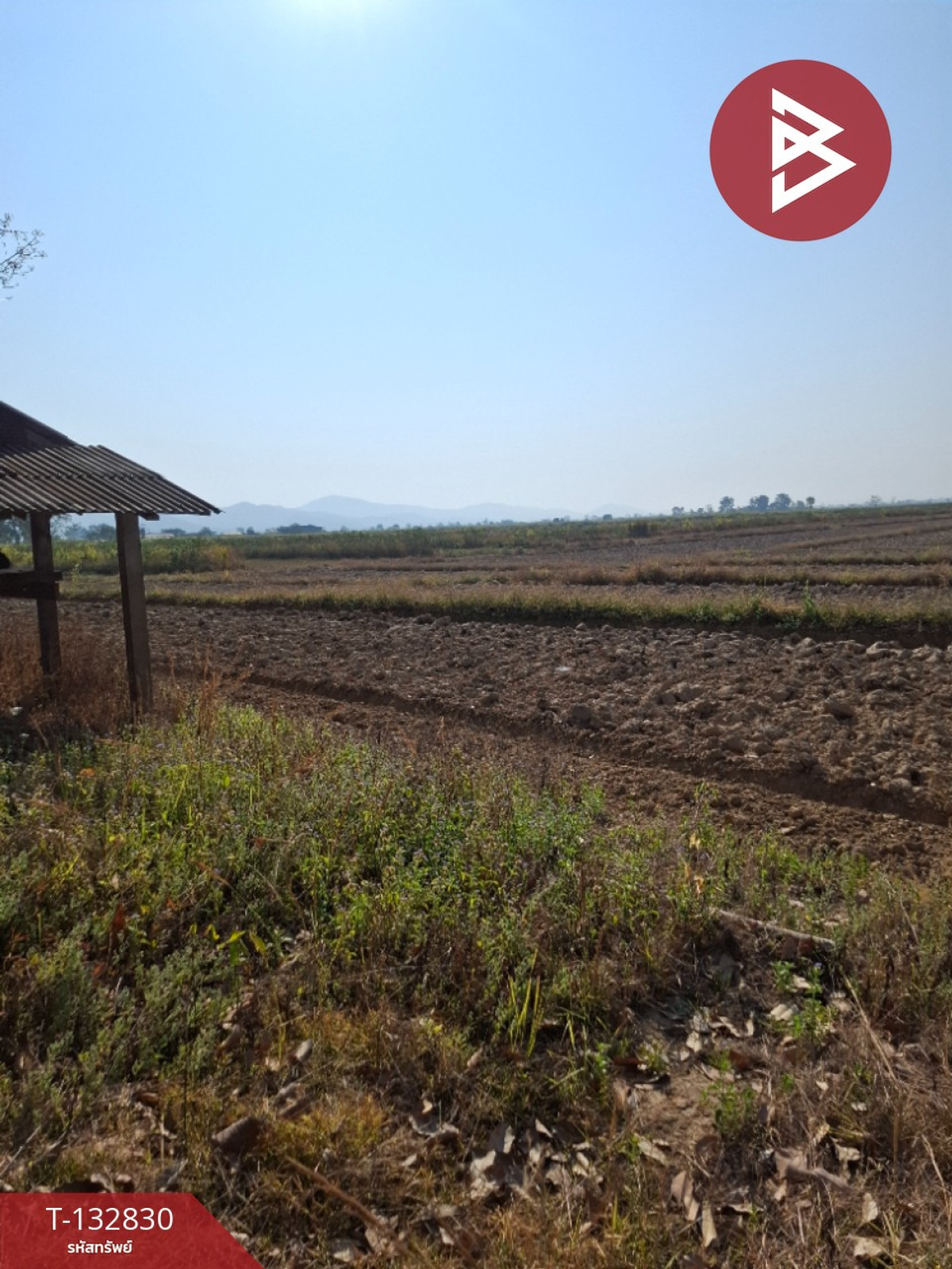 Land for sale, area 7 rai 3 ngan 91 sq m, Thoeng, Chiang Rai. – รูปที่ 2