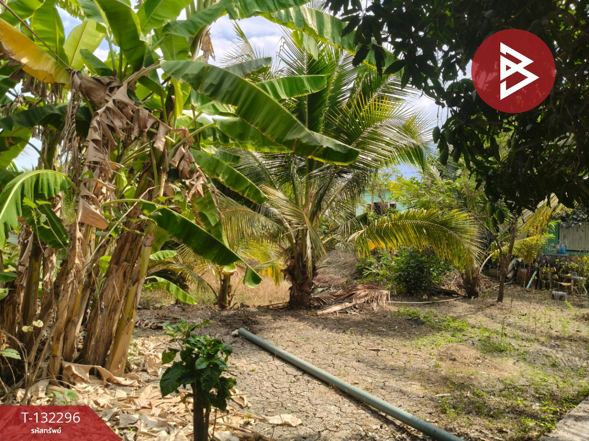 Land for sale, area 3 ngan 65 sq m, Ban Phaeo, Samut Sakhon. – รูปที่ 4