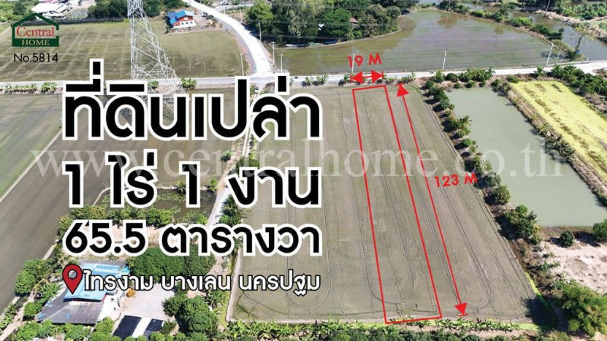 ที่ดินเปล่า 1-1-65.5 ไร่ ไทรงาม บางเลน - นครปฐม – รูปที่ 2
